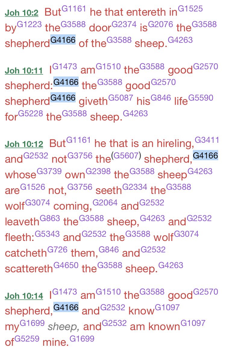 In the Koine Greek gospels and epistles we see poimen translated as shepherd repeatedly, 16 times, except when it is translated as pastor in Ephesians 4:11. Just like in Hebrew, the Koine Greek had one word for male and females shepherds. Just as teacher can be a man or woman