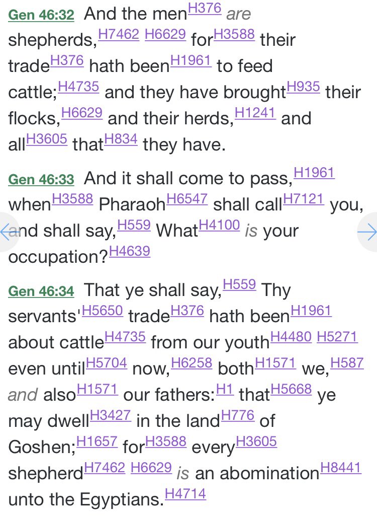 In general all shepherds, male and female, smelled and were dirty from interacting with sheep from dawn to dusk. Genesis 46:34 says Egyptians call them abominations, disgusting things. Yet, the angel announcing the Messiah invited shepherds to be first to meet our newborn king