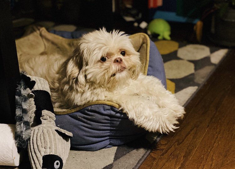 it ok

        u r ok