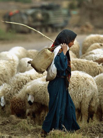 When you read, think, or hear about shepherds in a biblical and societal context, remove the singular image of a man with a beard wearing clean clothing, it really can be a young boy or girl or unmarried woman or man, they all are considered shepherds, and pastor certain flocks