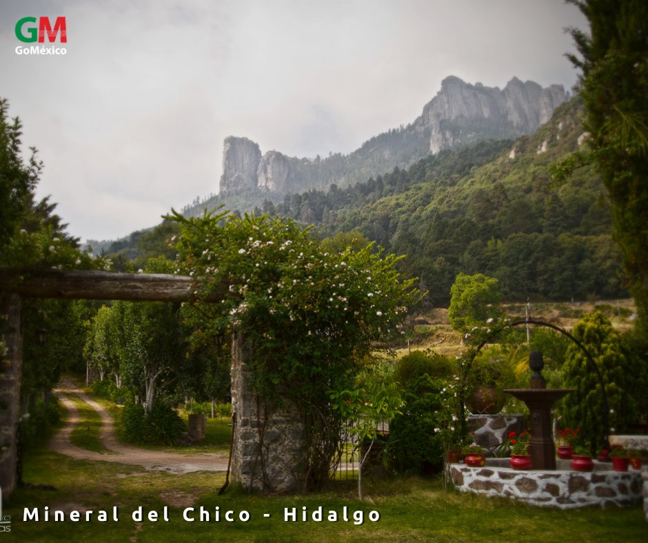 gomexicoviajes's tweet photo. 🇲🇽 Mineral del Chico, Hidalgo, es un verdadero paraíso natural en medio del bosque 😍🍃

@PuebloMagicos 

#GoMéxico #mexicotravel #Hidalgo https://t.co/KJMV1XwJRS