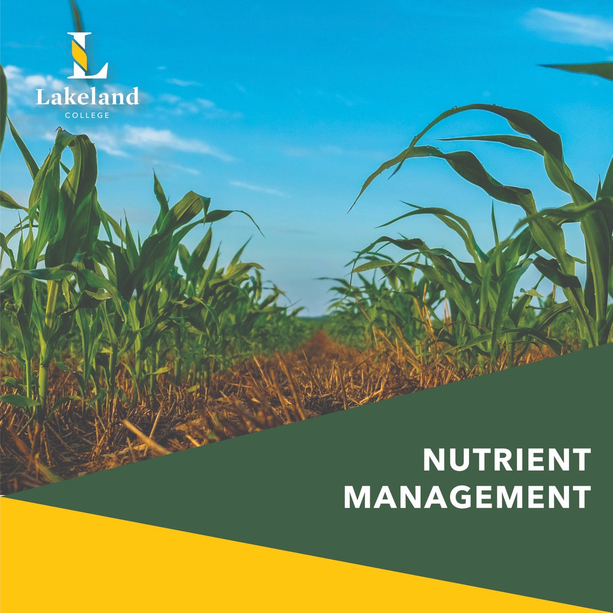 adellegervin's tweet photo. This is an online course for anyone, anywhere who wants to learn how to better understand, manage, and plan for optimal nutritional benefits. This course is Jan 4- April 11 2021. For more information, or to register, visit our website! https://t.co/LJdADk3Drh https://t.co/XvLT95wMvJ