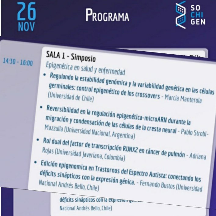 mmanterola19's tweet photo. Thrilled for our symposium tomorrow! Exploring the mysteries of the good and the dark sides of Epigenetics with the rockstars @epilabPUJ @PstroblM @fjbustosf @sochigen
#Thursday26/11>14:30
 #LIIIreunionanualsochigen #sochigen https://t.co/izs5greaT4