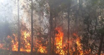 misionesonline's tweet photo. #IncendiosEnMisiones #MisionesArde Estos fueron los focos sofocados esta tarde en Oberá, Alem y localidades vecinas https://t.co/v00ruc4yWs https://t.co/WTei7Llnxd