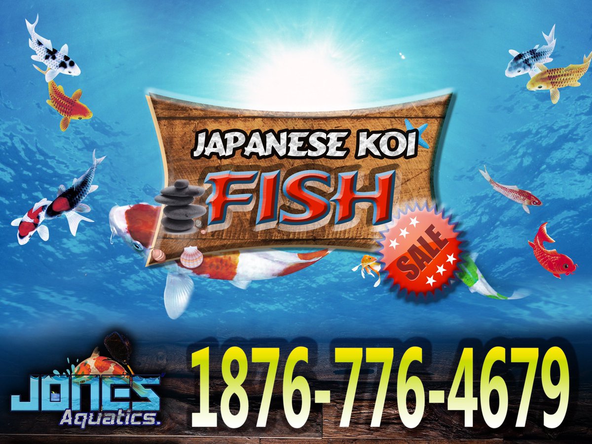 Shellvez's tweet image. Over 300 new businesses have been started in 2020 so far.  Here’s mine.. like and retweet please 🙏🏾