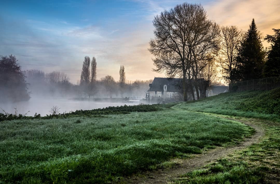 IgersAnjou's tweet photo. Ah cette #ambiancematinale à #Corzé... Ça envoi du ❤️ ❤️ ❤️
.
📷 : Merci Jérôme Grégoire @ jerome.grg pour ce #superbepaysage !
.
Sélection : @blurabbit
.
Pour suivre Jérôme : https://t.co/f2tVvqtLvQ
.
#pdj_igf #maineetloire #paysdelaloire #corze #nature #naturephotography https://t.co/cqkWTvrBfm
