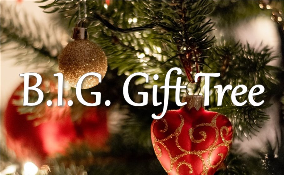 WUMYgroup's tweet photo. The B.I.G. Gift Tree is Online This Year! https://t.co/YNZ1Cv0dKW https://t.co/yzyLr1pgyv