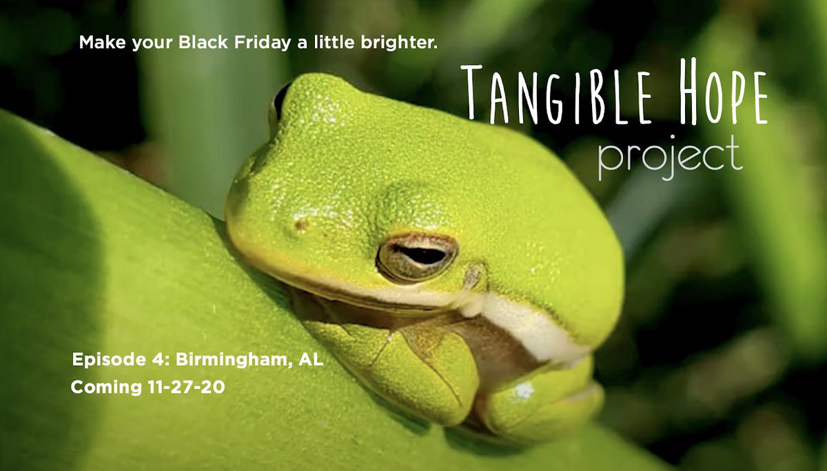 HopeTangible's tweet photo. Make your Black Friday a little brighter. #ItsnotEasyBeingGreen Episode 4: Birmingham, AL. Coming 11-27-20 (Photo courtesy of #CahabaRiverkeeper) #tangiblehopestory #Birmingham #CahabaRiverSociety #CahabaBrewing https://t.co/F6znRji2yl
