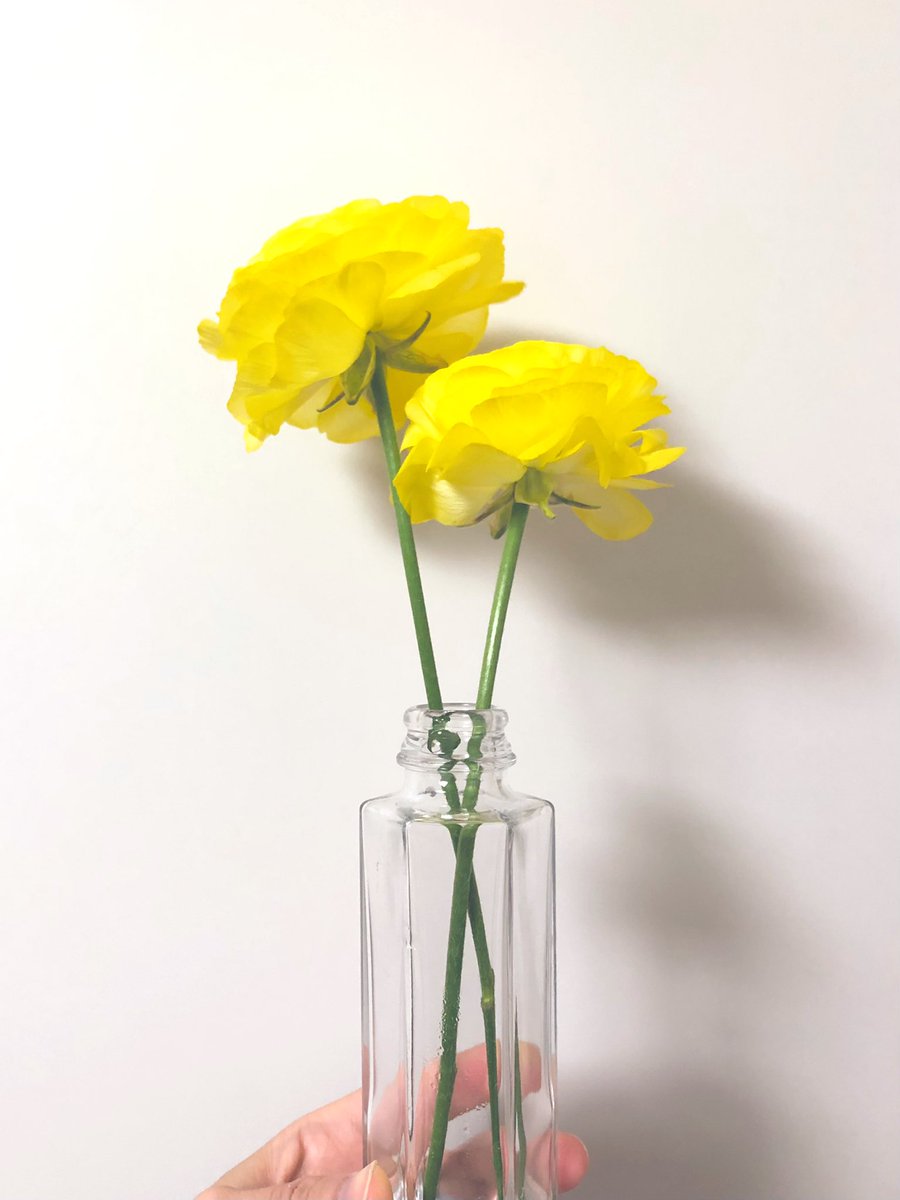 全農広報部 公式 日本の食を味わう 花屋 さんの軒先でどのお花にしようか悩んでいたら お会計を済ませて出てきたお二人様が 黄色にしたよ いいね とにこにこ話していて その手元にある元気な色の ポンポンみたいなお花に一目惚れ その光景に 全農広報部 公式 日本の食を味わう 花屋 さんの軒先でどのお花にしようか悩んでいたら お会計を済ませて出てきたお二人様が 黄色にしたよ いいね とにこにこ話していて その手元にある元気な色の ポンポンみたいなお花に一目惚れ その光景に