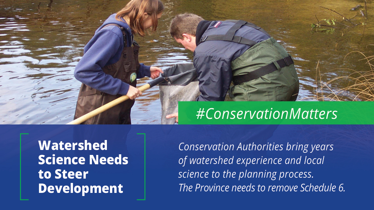 conont's tweet photo. Managing upstream, so downstream remains healthy. https://t.co/NHm7xUl3q7 #WatershedManagement
Learn more about our request to remove the proposed changes to the Conservation Authorities Act. https://t.co/zSuz4tXJWZ #ConservationMatters #RemoveSchedule6 #CAAct https://t.co/dPuctvJepG