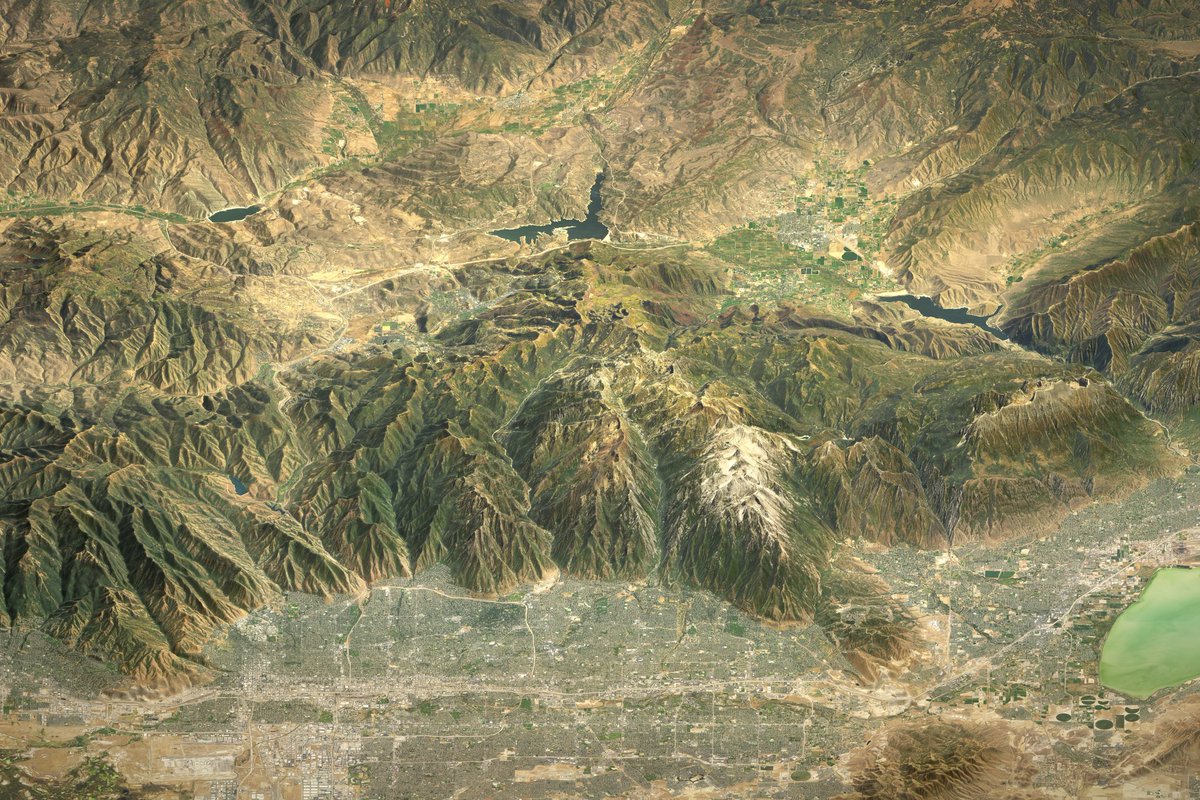 Ian Grasshoff tweet media