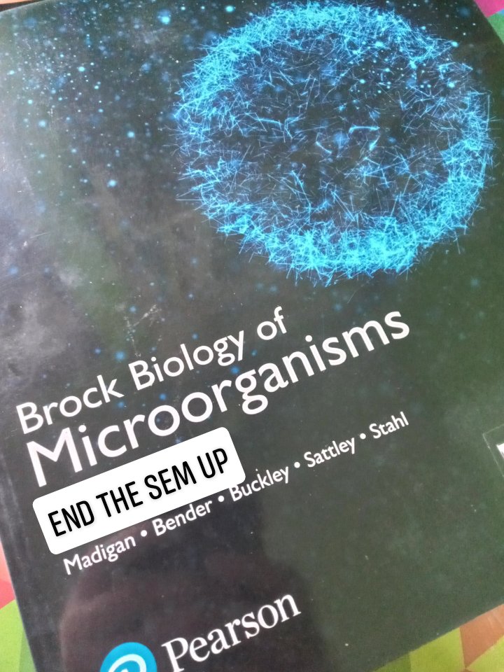 IstibenDR's tweet photo. Nakikiisa si Brock sa ating panawagan. Alam ng librong to ang mga paghihirap namin ngayong semestre
#UPBPayt
#EndTheSemUP
#MassPromotionNow
#WalangIwananUP
#UPStrikesBack https://t.co/dfeSfunwqr