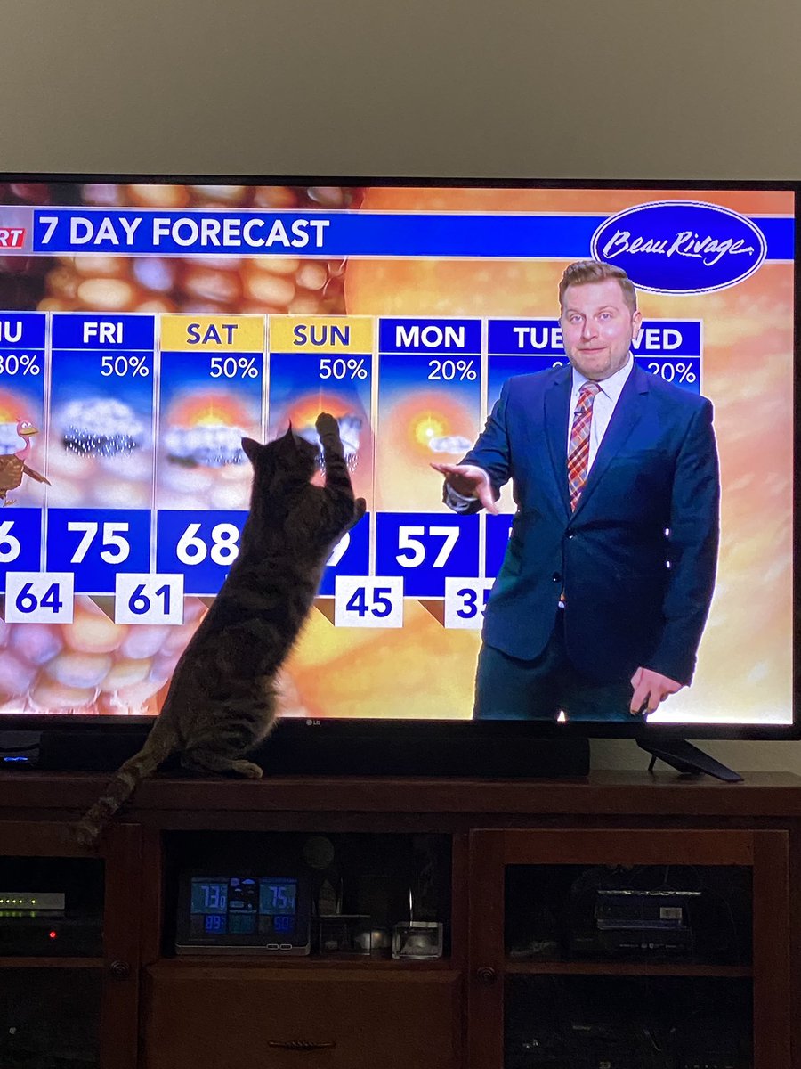 gregmo17's tweet photo. @Weatheric My mom’s cat was trying to help you with the weather forecast. 😂 https://t.co/kxrsNDEDb4