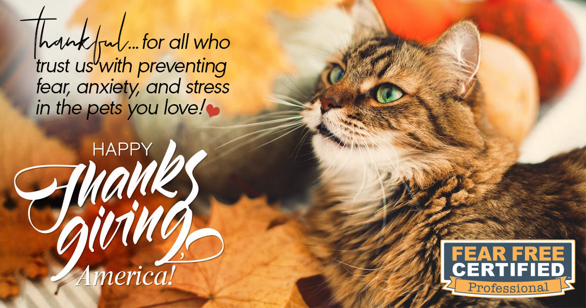 FourLakesVet's tweet photo. From our families to yours, have a safe, healthy and happy Thanksgiving! https://t.co/KeaJa7B3Z6