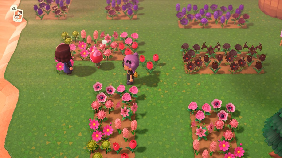 nyanbinary_'s tweet photo. finally making progressin this area now that i had space to move my flowers sdfhmllkjhfsfhjl  #AnimalCrossing #ACNH #NintendoSwitch https://t.co/ugUsJUJwa6