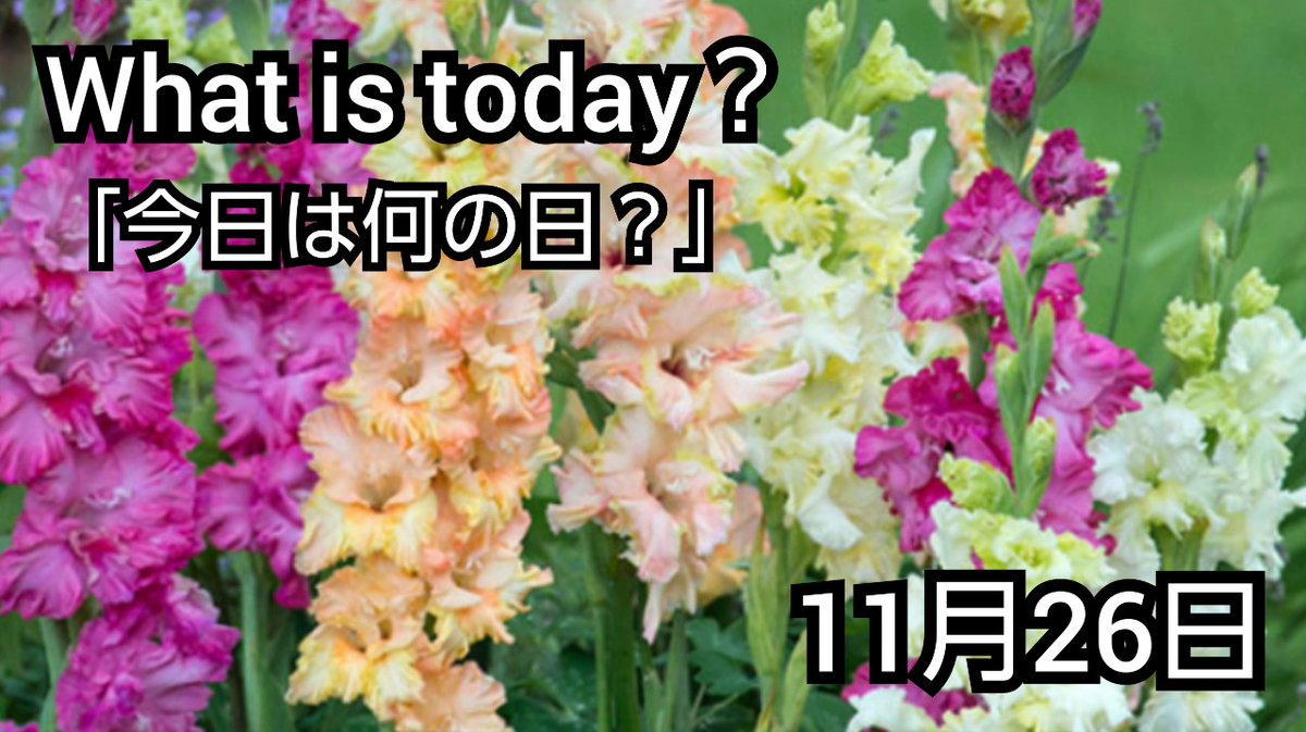 いこらtv What Is Today 今日は何の日 1126 今日は何の日 雑学 11月26日 T Co Aptz9xq24a いこらtv What Is Today 今日は何の日 1126 今日は何の日 雑学 11月26日 T Co Aptz9xq24a