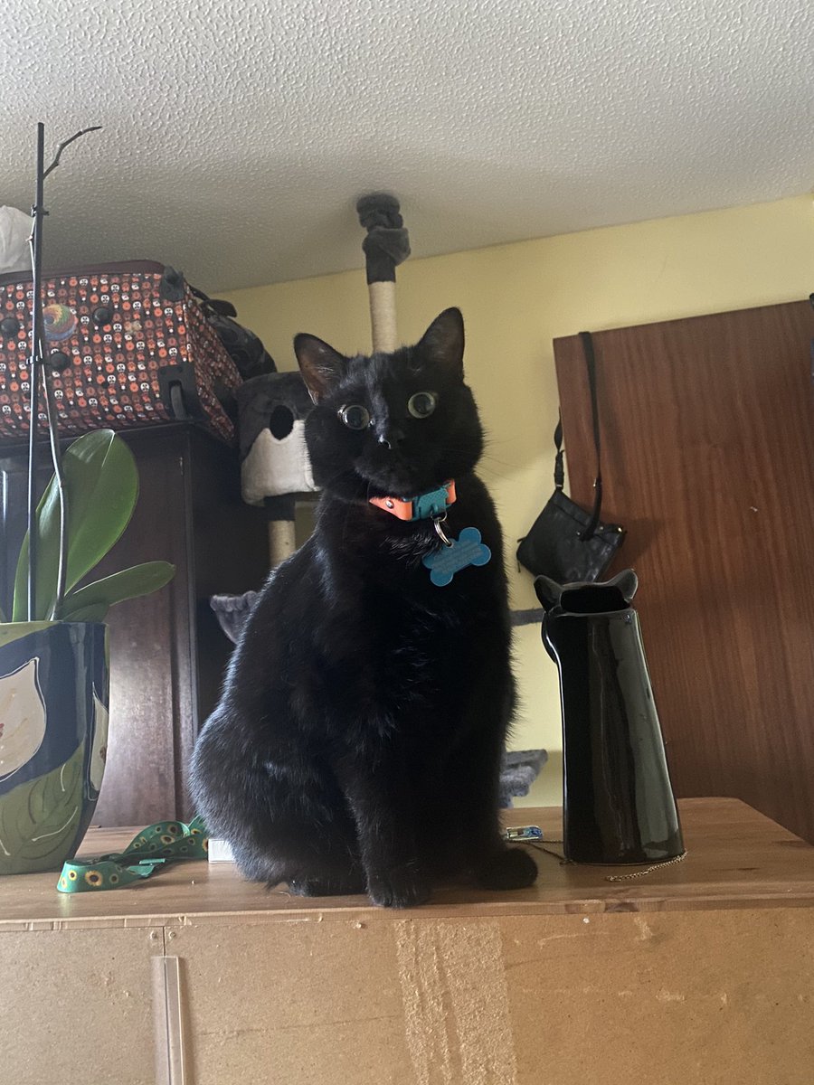 Human just doesn’t get that she’s late for breakfast