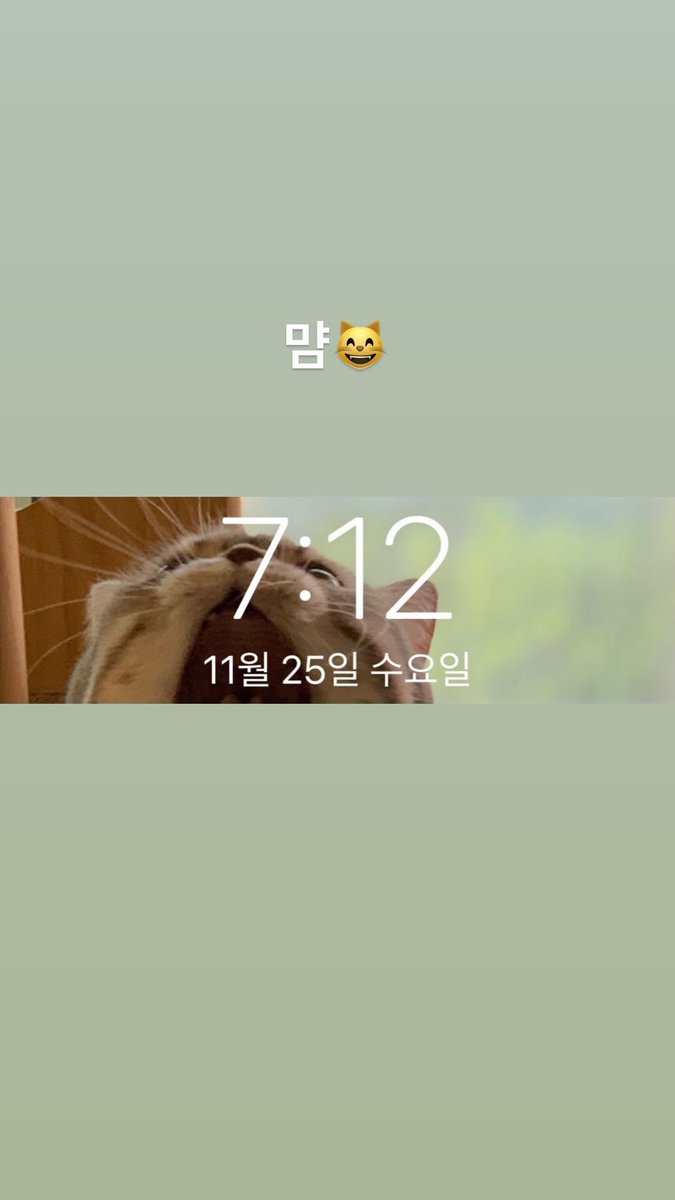 ColombiaNFlying's tweet photo. [INSTAGRAM]
Historia de ChaHun en su cuenta personal
Traducción: Myam😸
#NFlying #엔플라잉 #2020MAMA #MAMAVOTE #nflying 
 #NFia #NFlyingcolombia #CHAHUN 
@NFlyingofficial https://t.co/qps5DVzxu4