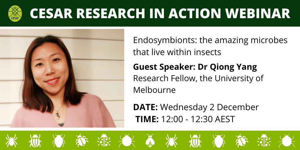cesaraustralia's tweet photo. Want to learn about tiny insect microbes that we are looking to manipulate for improved pest management outcomes? 

Hear about new research during our #cesarinaction webinar on 2 December, 12-12:30 AEST
REGISTER: https://t.co/fAn7irgs5q https://t.co/rVkf16Z8Gg