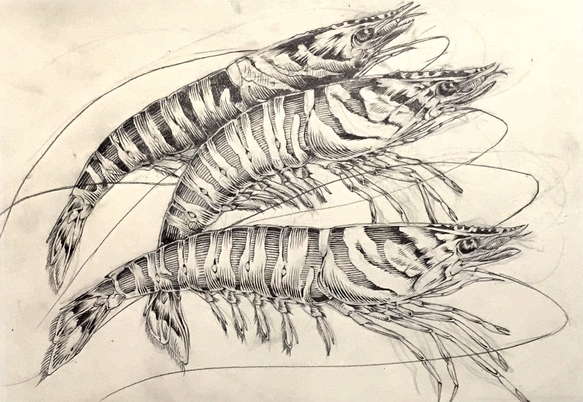 #俺の描き込みを見てくれ 
#切り絵下描き 