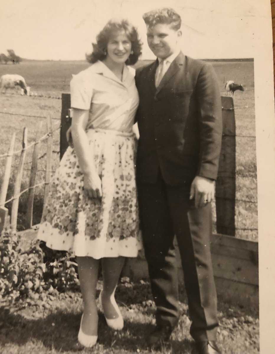 Diane McNicol tweet media