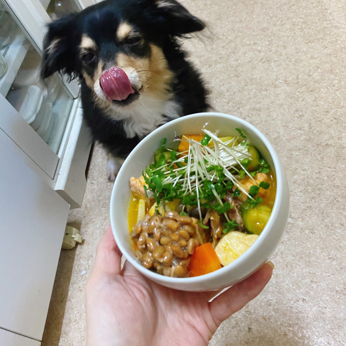 かわぴ ガンの犬向け手作りごはん ｕ ᴥ 1枚目 ごはん完成 2枚目 に ブロッコリースプラウトと納豆をトッピング 3枚目 待ち構える愛犬 犬のごはん 犬の手作りごはん わんこごはん