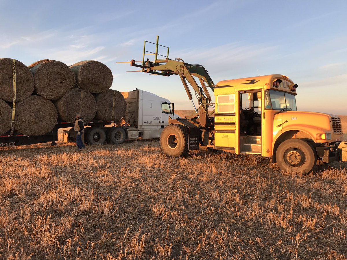 DallasCHenry1's tweet photo. Another load, down the road. Wyoming bound. #loaderbus #rollurown #dallasismynameloadingtrucksismygame https://t.co/oTrnTmIkDr