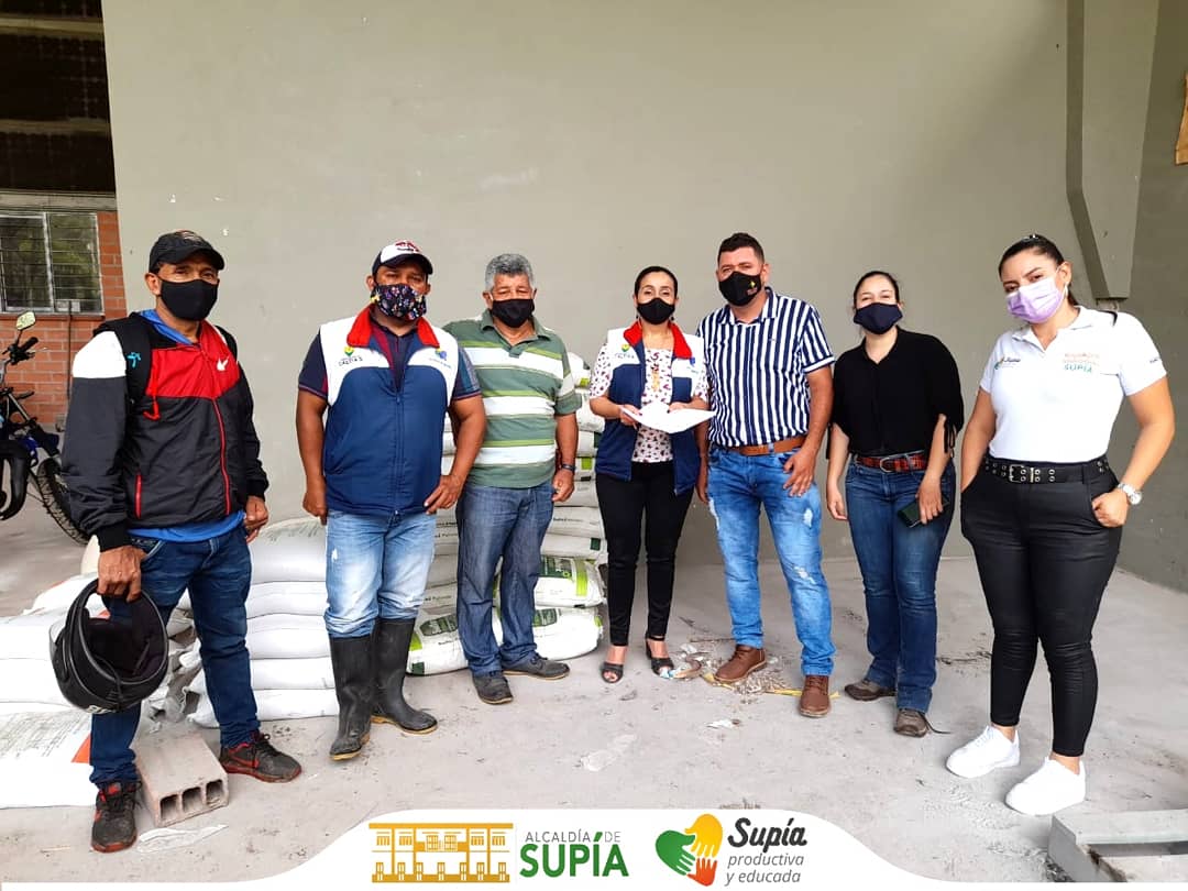 AlcaldiaDeSupia's tweet photo. 👨🏼‍🌾La Oficina Agroambiental, se realizó la entrega de insumos agropecuarios a 50 Productores de Panela de Supía que hacen parte del convenio entre Alcaldía, Secretaría de Agricultura de Caldas y Fedepanela, con el fin de fortalecer el sector panelero.

#SupíaProductiva💚 💛 https://t.co/S87Tf3sL0V
