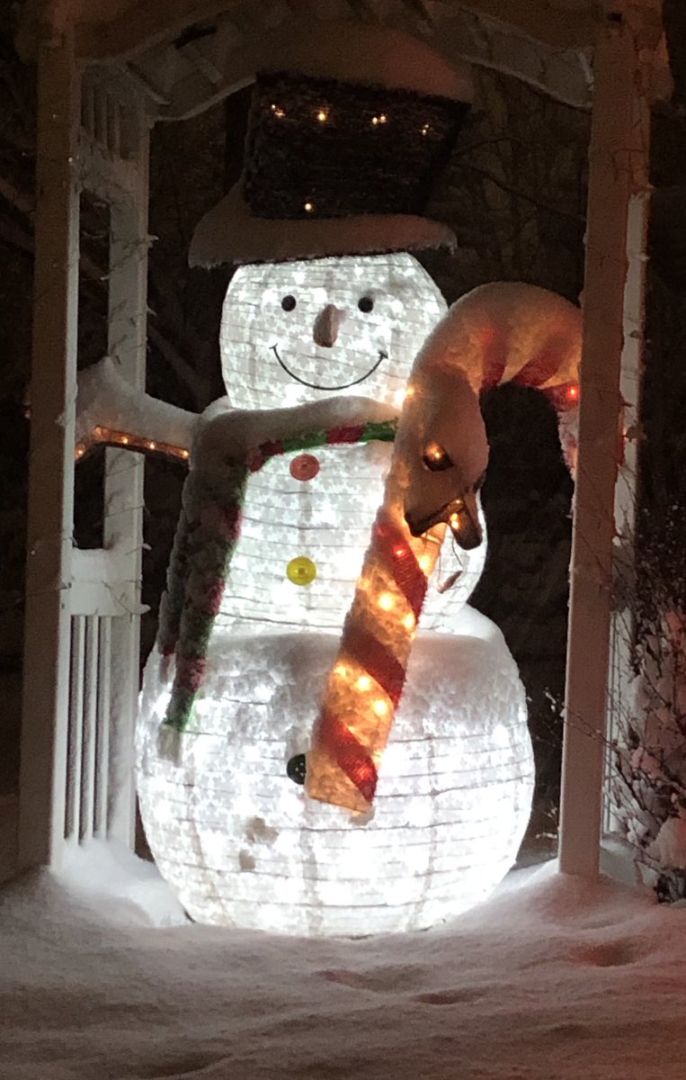 withbarbara's tweet photo. Well it WAS beginning to look a lot like Christmas!! https://t.co/bqyL47sHWB