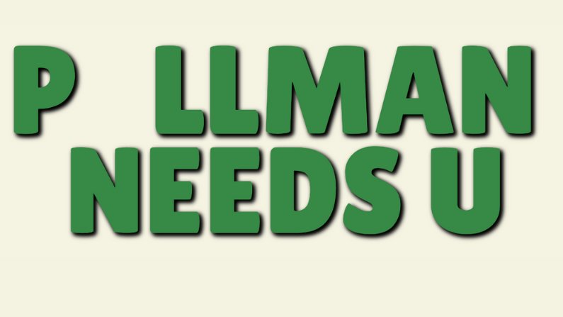 Start your holiday shopping now! So many unique and wonderful gift items can be purchased in downtown Pullman! #downtownpullman #shoppullman #shoplocal #pullmanproud #pullmanwashington