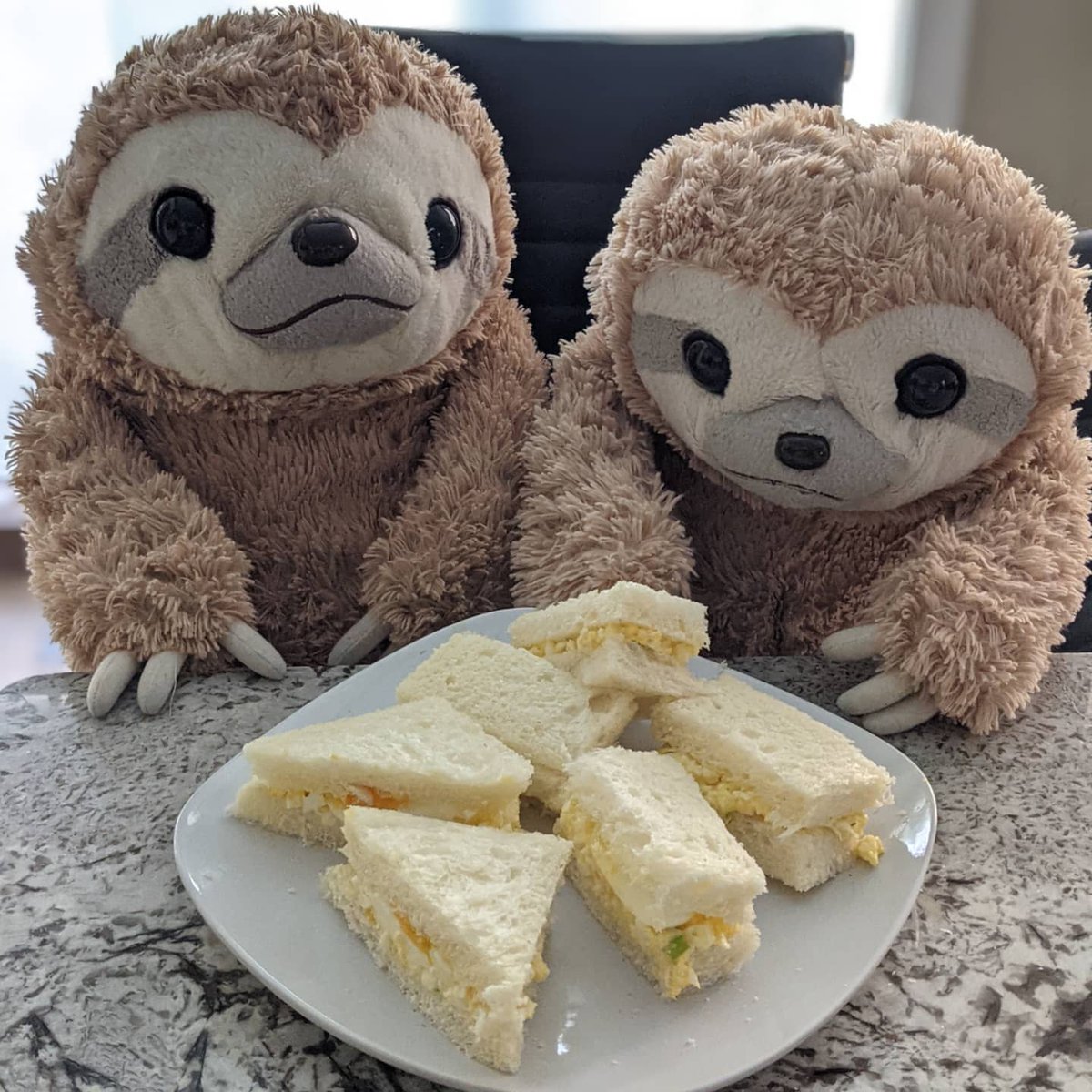 plsGetTheBread's tweet photo. Get that BREAD, get that EGG, then EAT. Then eat!

My egg salad sandos from earlier today, made with help from Mr. Sloth (@lovemrsloth) &amp; Mikke using milk bread from @parisbaguette_usa.

What do you usually do with the…

📸 https://t.co/xWpkhLnC7J via https://t.co/QgeA1VhXK4 https://t.co/pKI33mzp5P