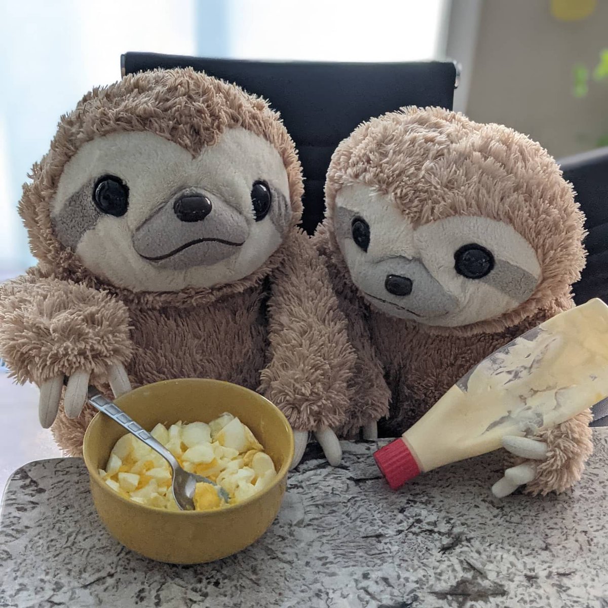 plsGetTheBread's tweet photo. Get that BREAD, get that EGG, then EAT. Then eat!

My egg salad sandos from earlier today, made with help from Mr. Sloth (@lovemrsloth) &amp; Mikke using milk bread from @parisbaguette_usa.

What do you usually do with the…

📸 https://t.co/xWpkhLnC7J via https://t.co/QgeA1VhXK4 https://t.co/pKI33mzp5P