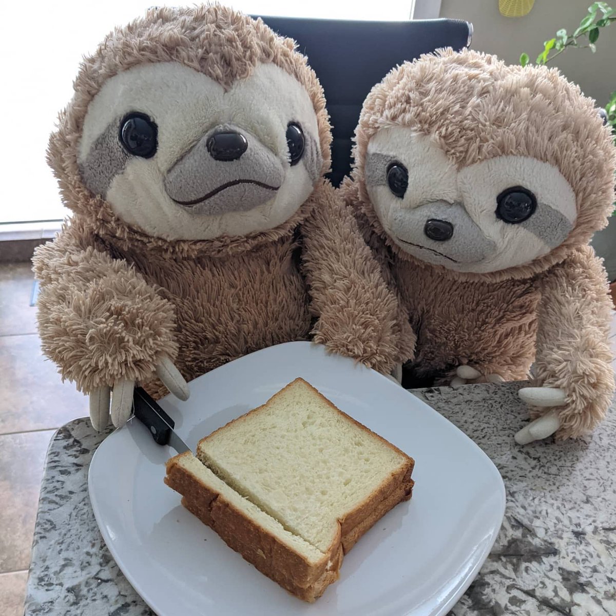 plsGetTheBread's tweet photo. Get that BREAD, get that EGG, then EAT. Then eat!

My egg salad sandos from earlier today, made with help from Mr. Sloth (@lovemrsloth) &amp; Mikke using milk bread from @parisbaguette_usa.

What do you usually do with the…

📸 https://t.co/xWpkhLnC7J via https://t.co/QgeA1VhXK4 https://t.co/pKI33mzp5P