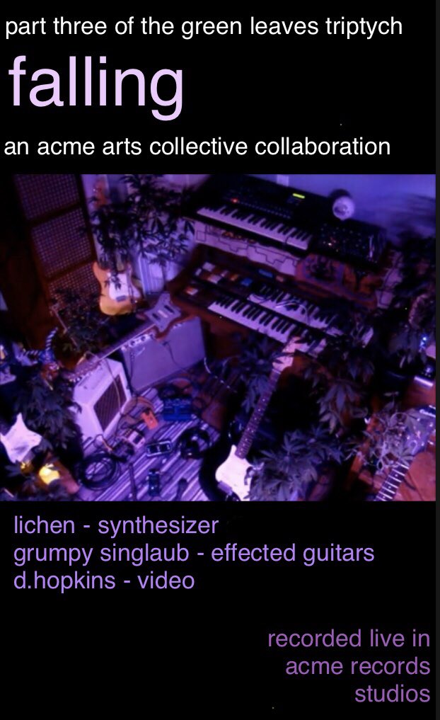 lichensynthesis's tweet image. ever striving or always falling? Part 3 of the green leaves sonic triptych &amp;gt; falling (4pm) &amp;gt; live in studio ambience by members of the acme arts collective &amp;gt; m.youtube.com/watch?v=hrky4g… #livemusic #ambient #analogsynthesis #acmerecords