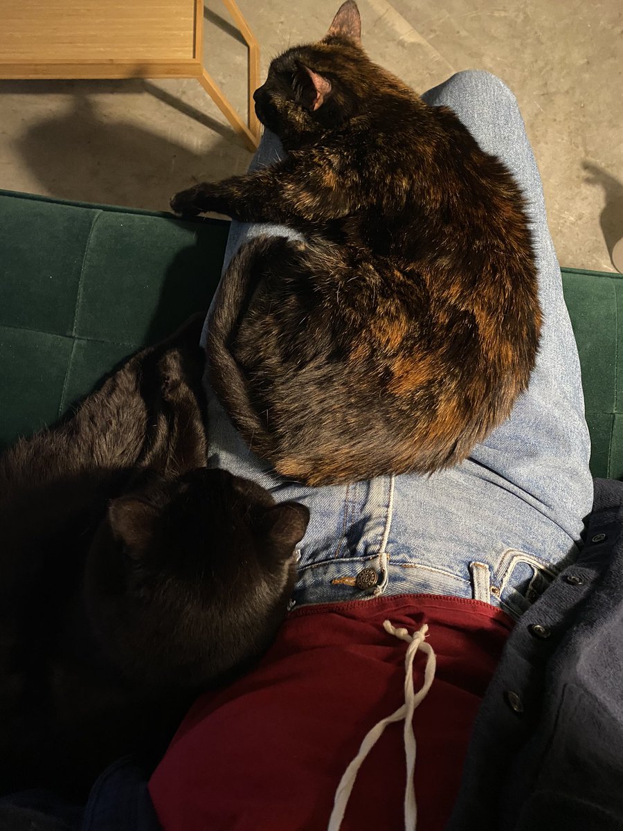 b_obrien13's tweet photo. proof is in the pussys https://t.co/82TVRkxx2L
