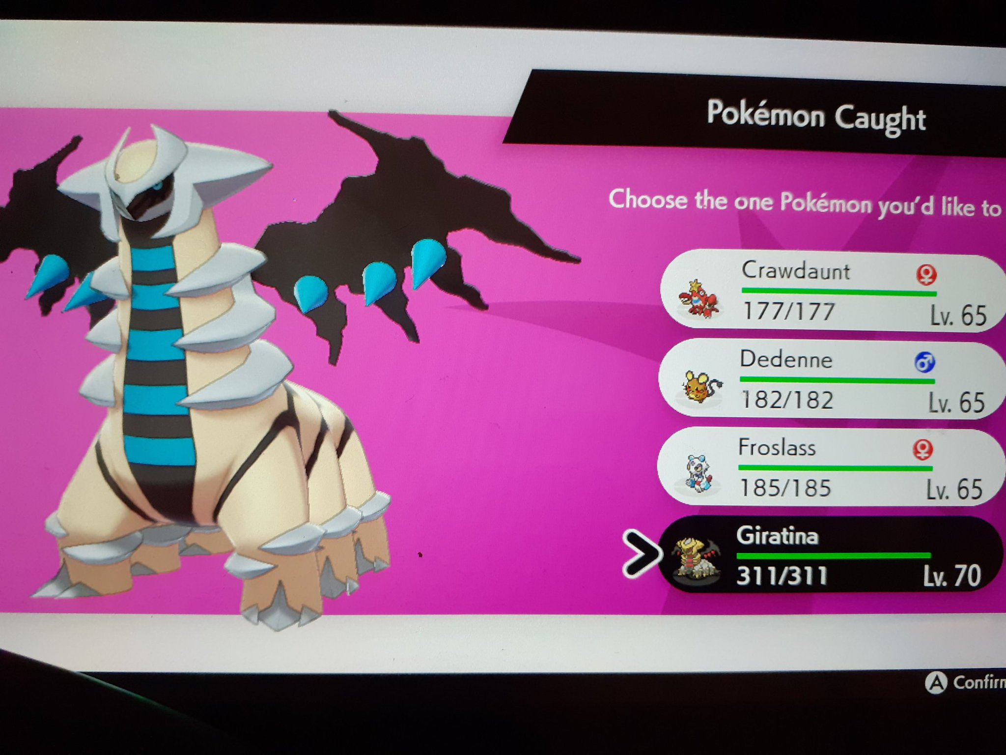 Shiny Giratina (@RulerOfAnti) / X