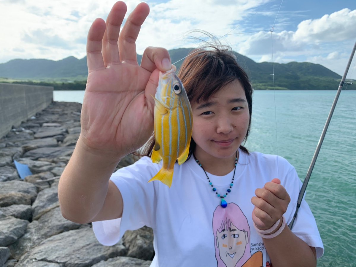 さかな芸人ハットリ On Twitter 遅くなったー ごめんよ 最初はマダラハタ 胸鰭 がよく見えないけど もしかしたらアカマダラハタ 2枚目はアオブダイ属の何かのメス 細かい種類見分けるの激ムズパターン 3枚目オキフエダイ 4枚目ロクセンフエダイだと思うけど
