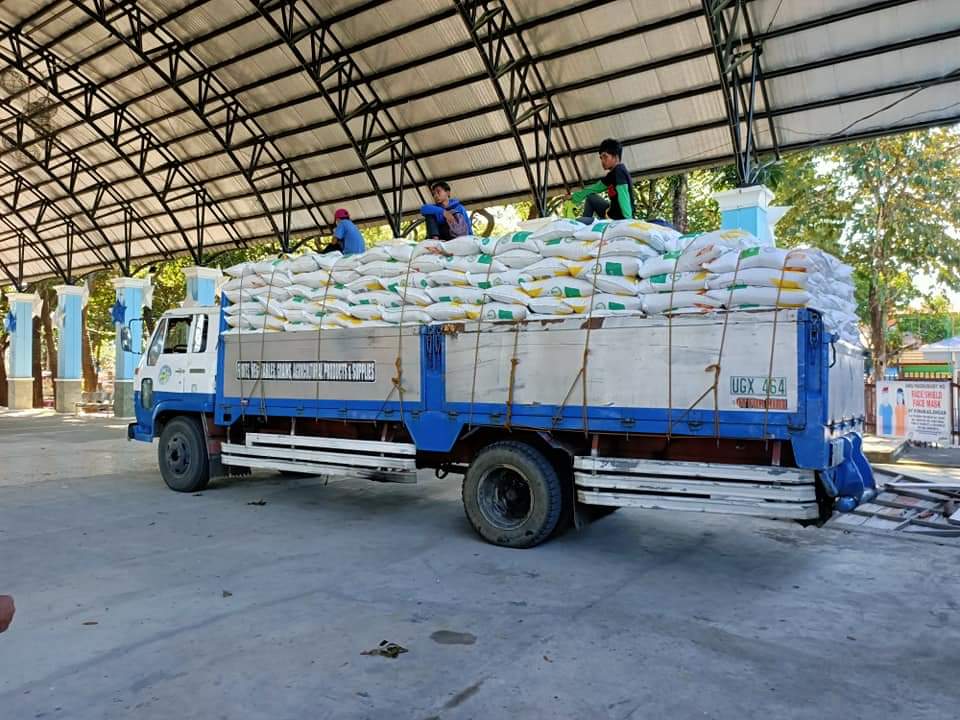 radyopilipinas1's tweet photo. TINGNAN | Inbred seeds na nakalaan ito sa mga hindi pa nakakuha ng binhi o certified seeds ngayong dry season sa San Quintin, Pangasinan. | via Mildred Coquia | RP1 Tayug

Photos: Engr. Christian Javier https://t.co/mSXDjzwrfN