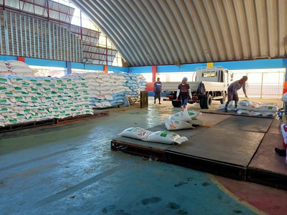 radyopilipinas1's tweet photo. TINGNAN | Inbred seeds na nakalaan ito sa mga hindi pa nakakuha ng binhi o certified seeds ngayong dry season sa San Quintin, Pangasinan. | via Mildred Coquia | RP1 Tayug

Photos: Engr. Christian Javier https://t.co/mSXDjzwrfN