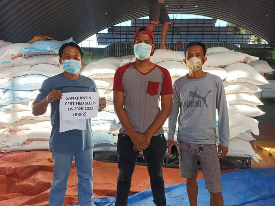 radyopilipinas1's tweet photo. TINGNAN | Inbred seeds na nakalaan ito sa mga hindi pa nakakuha ng binhi o certified seeds ngayong dry season sa San Quintin, Pangasinan. | via Mildred Coquia | RP1 Tayug

Photos: Engr. Christian Javier https://t.co/mSXDjzwrfN