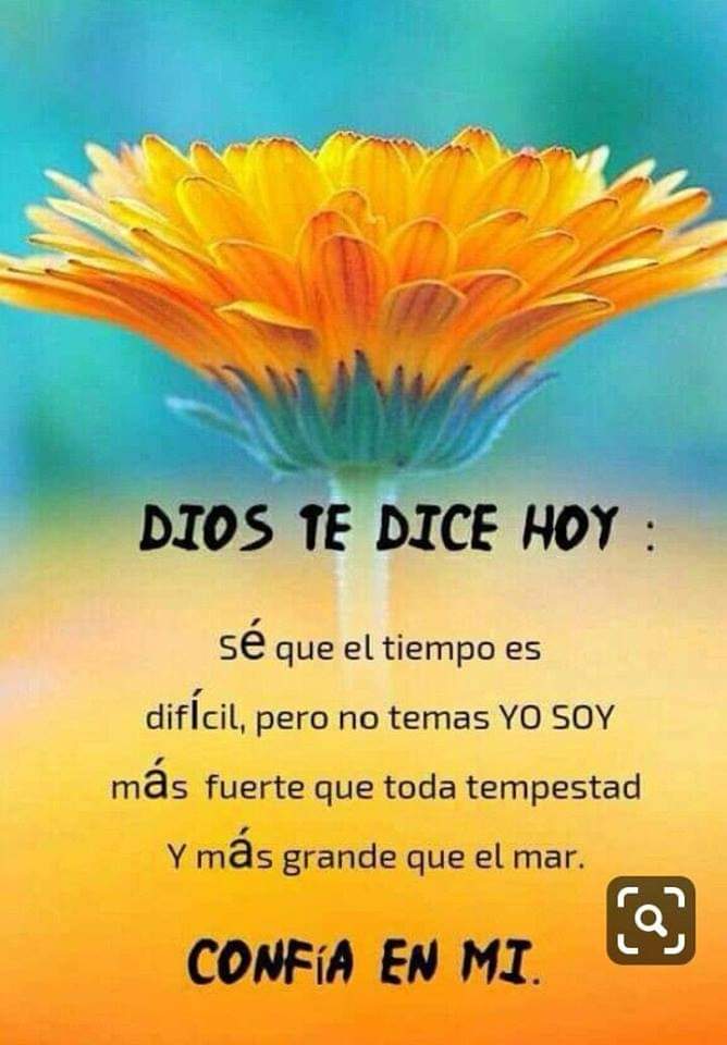 roxfiore's tweet photo. Adora al Señor tu Dios, y él bendecirá tu pan y tu agua. Yo apartaré de ustedes toda enfermedad.
Éxodo 23:25 https://t.co/PswSWLEYRZ