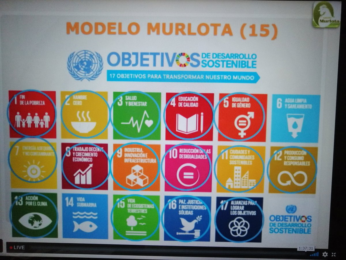 DesdeGto's tweet image. "Un paquetito de 10 gallinitas" dice Itzel Suárez, pero éste modelo impacta a 15 de 17 #ODS 👏
@MURLOTAhuevos ¿el eslabón que falta en los proyectos de traspatio que ya conocemos?
Conocí a un gpo de productoras que no sabían qué hacer con tanto huevo producido y puertas cerradas.