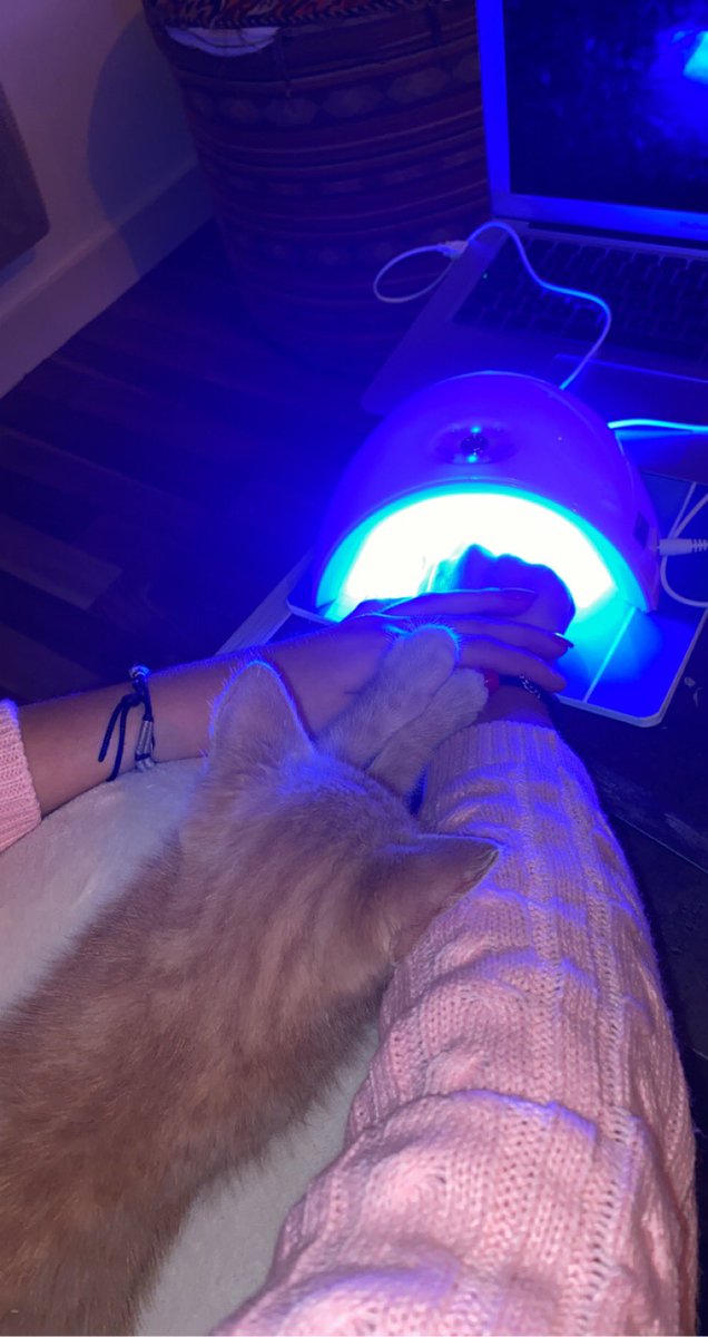 poupoute2001's tweet photo. jmennui plus avec ce gros bébé🤩 https://t.co/uwppSL8ppp