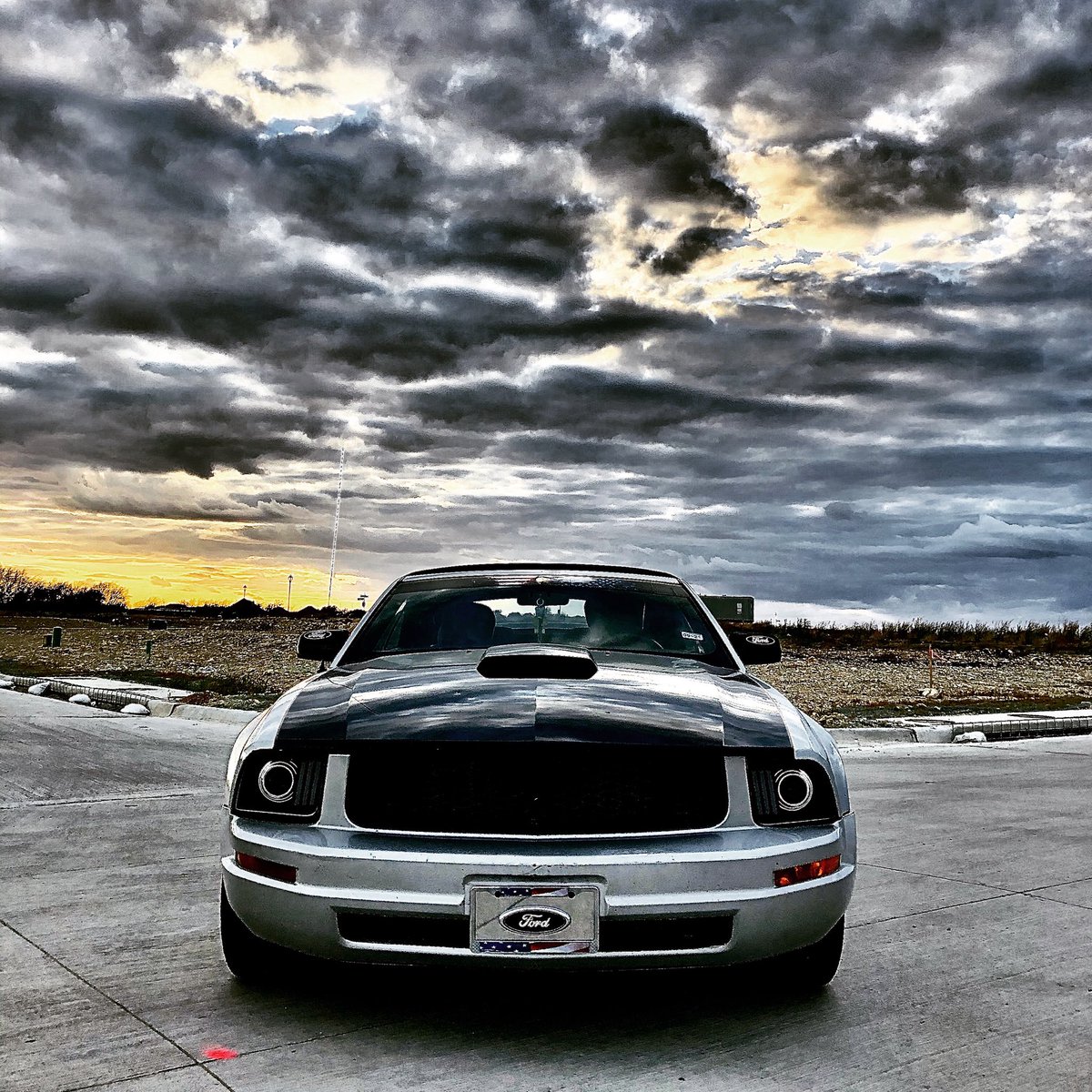 Rachel Freeze™ tweet media