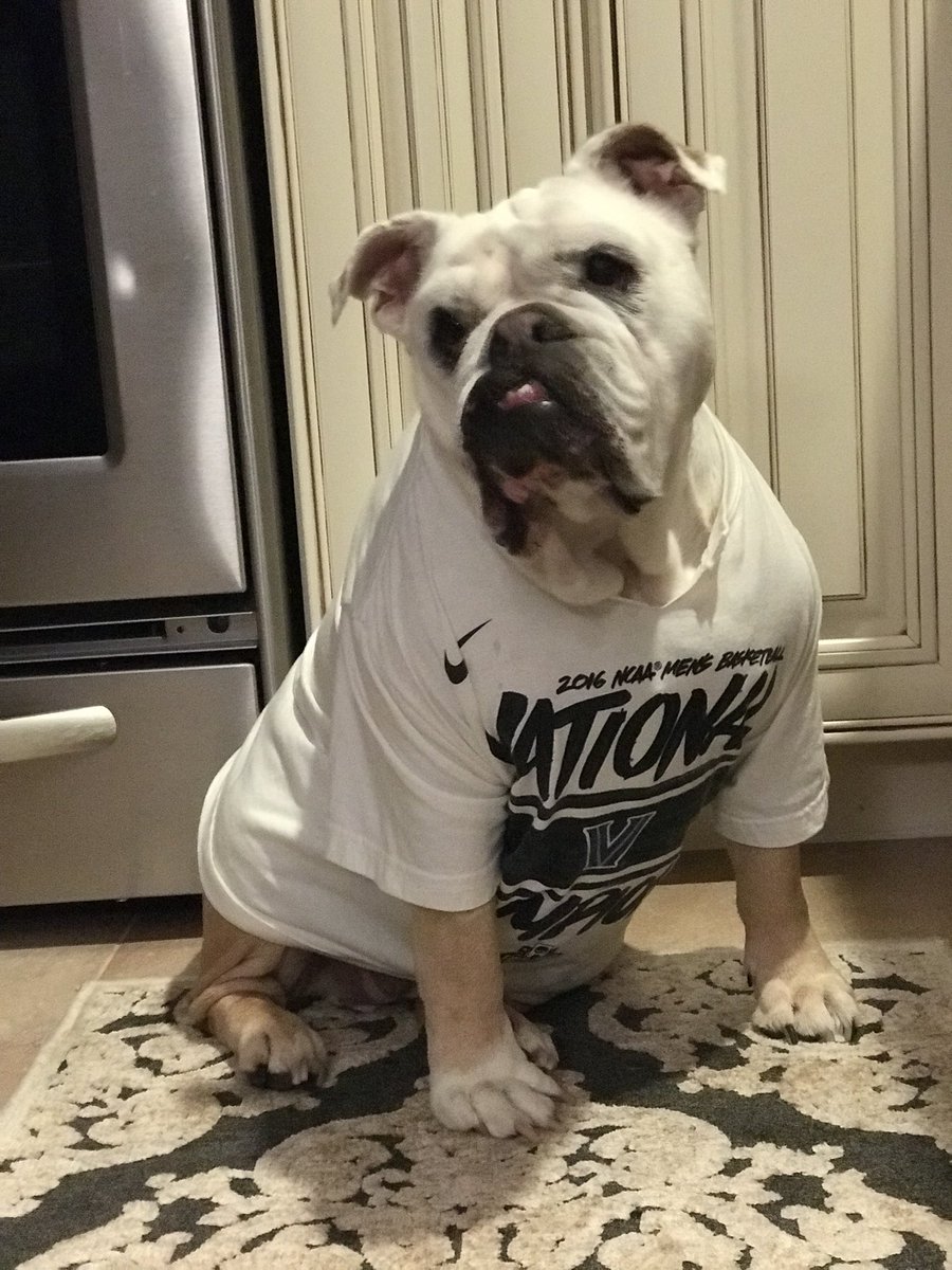 PrincessLucyB's tweet photo. Tonight we start our first Villanova basketball season in 12 years without this little cheerleader.  It’s not the same.  Miss u sweet girl. https://t.co/fIqLghZIB8