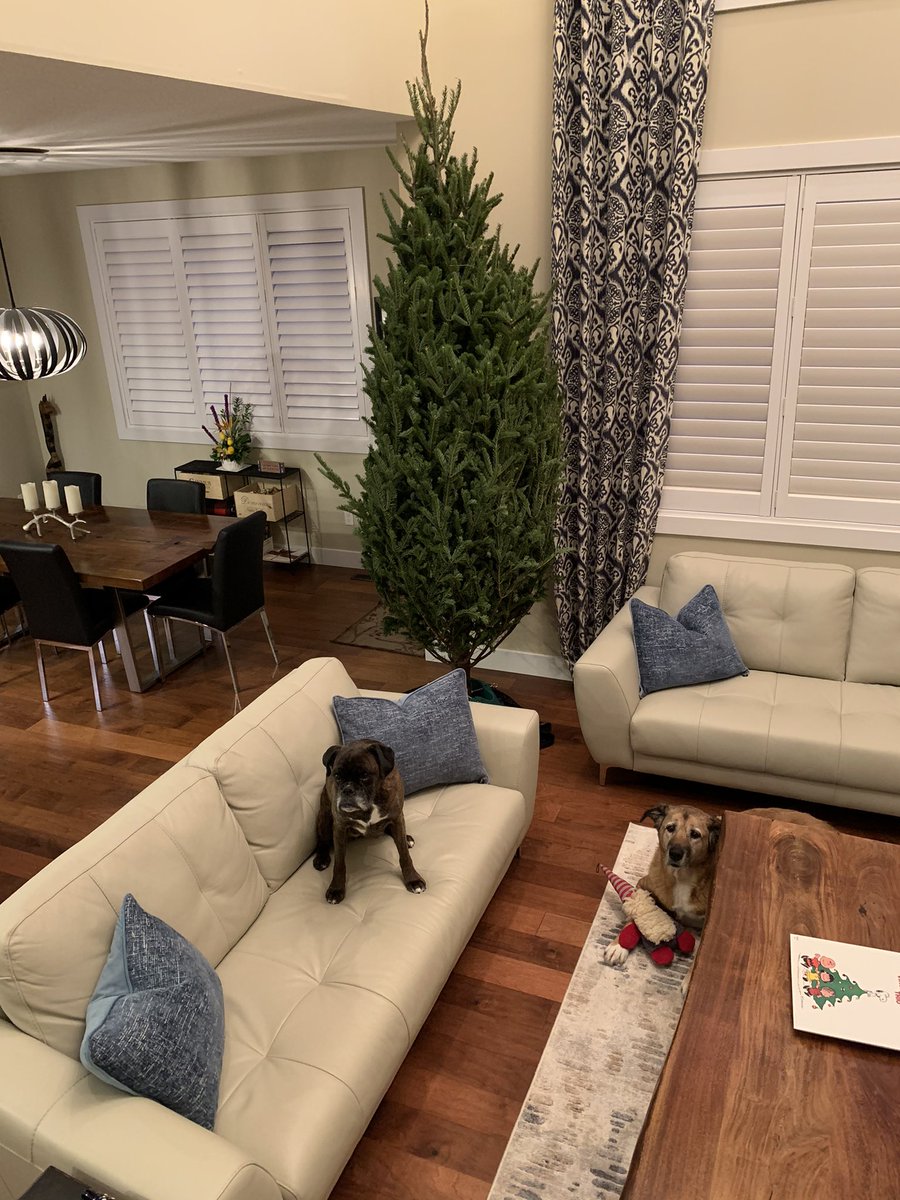 Derek Wills tweet media