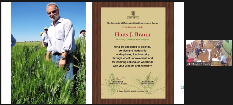 KropffMartin's tweet photo. Hans Braun, Director Global Wheat Program, thank you and congratulations on a 40 year-long career at @CIMMYT and impact across the globe's wheat fields! 
I wish you the best for your retirement. 
Wheat research &amp; CIMMYT will not be the same without you! https://t.co/oOfRhxHnxE https://t.co/HNthWUXV9w