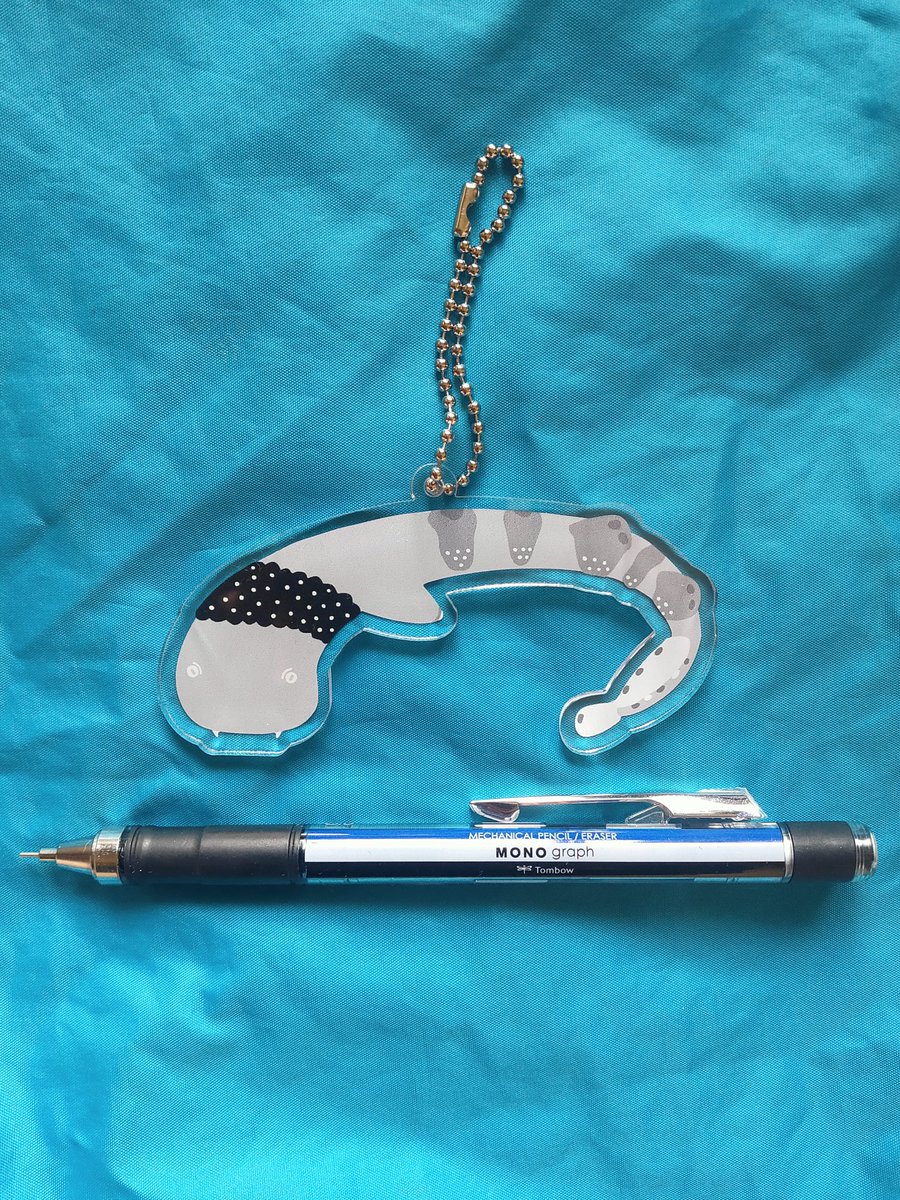 あきねこ Fish So Good ねーねー 見てー アクリルキーホルダー作っちゃった めちゃんこかわいくできた 嬉しいなー 一緒に旅しよー 対比のシャープペン ネックレスカーペットシャーク 水族館 大洗水族館 アクアパーク茨城県大洗水族館