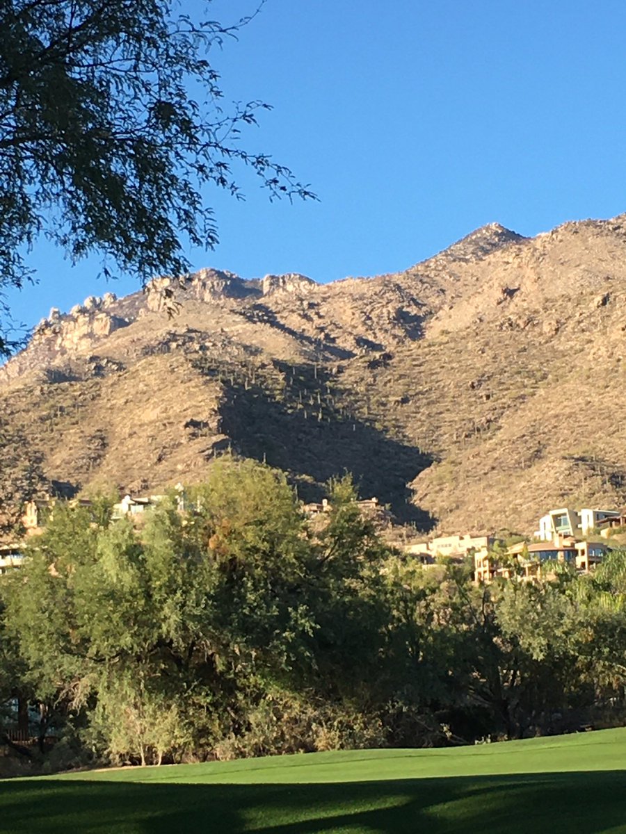 LydieKaplan's tweet photo. #Arizona2020 #Sabinocanyon #MountLemon https://t.co/zBg9VO7bu9