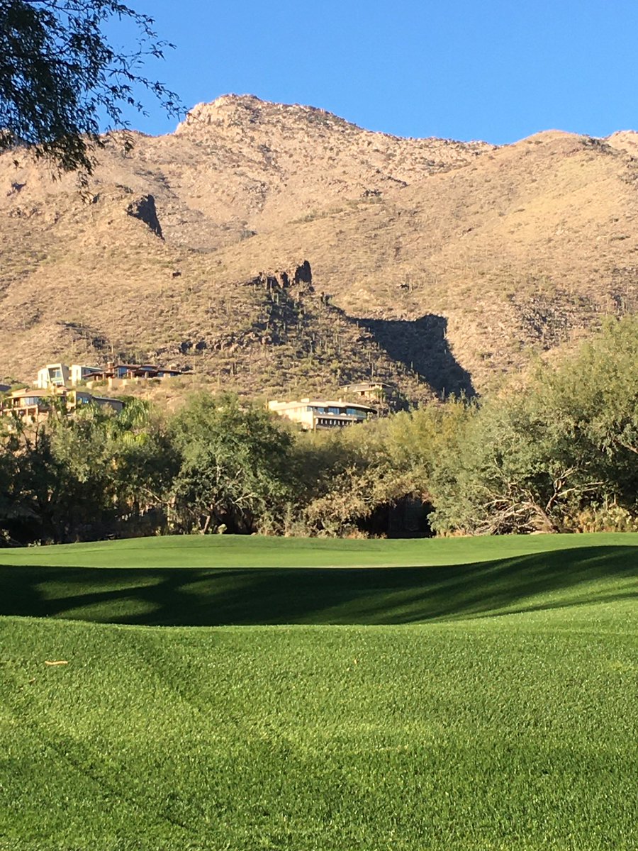 LydieKaplan's tweet photo. #Arizona2020 #Sabinocanyon #MountLemon https://t.co/zBg9VO7bu9